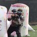 Evan Binz - Facebook