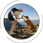 Evan Birch | Endurance Coach - @ultrabirch - Instagram