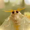 Evan Bishop - @evan.bishop0 - TikTok