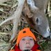 Evan Bettner - Facebook