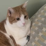 Evan B - @evan_bliss04 - Instagram