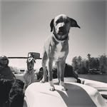 Evan Bliss - @lpbliss - Instagram