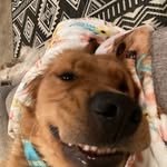 Evan blum - @evan_waffle_billie - Instagram