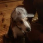 @evan_bock_ - Instagram