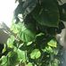 Evan Bondsfield - Facebook