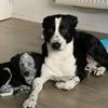 evan sangla - @evan.borgrs - TikTok