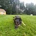 Evan Bouchard - Facebook