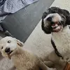 Evan Boecker - @evan.boecker - TikTok