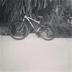 evan boyer 974 - @evan_boyer_97421 - Instagram