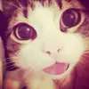 evan - @evanboyer201000 - TikTok