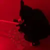 Saiko.died - @evanboyer45 - TikTok