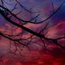 Evan Boyle - Facebook