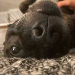 Evan Boyle - @evan_boyle10 - Instagram
