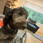 Evan Bragg - @evanbragg77 - Instagram