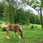 Evan Bragg - @bragg39231 - Instagram