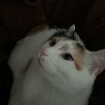Ev - @evanbrandd - Instagram