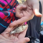 evan brassington0 - @evan_brasso - Instagram
