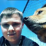Crystol fox - @evanbraun_ - Instagram