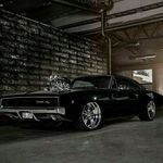 Evan Braun - @evanbraun4 - Instagram