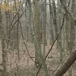 Evan Brawner - @brawnerevan - Instagram