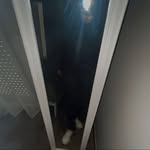 @evan_braykov - Instagram