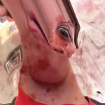 Evan Brenner - @brenner_evan - Instagram