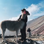 Evan Brenner - @bv4n - Instagram