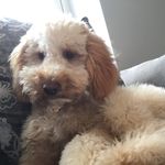 Evan Brewer - @evan.spammz12 - Instagram