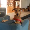 @EvanBrewer928 - @granitecitytribe36 - TikTok