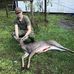 Evan Brock - Facebook