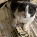 evan - @evanbrophy06 - Instagram