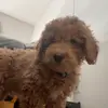 Evan Buck - @evanbuck1 - TikTok