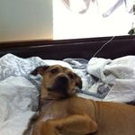 evan - @evanbuckingham_ - Instagram