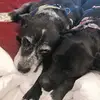 Evan Byron - @evan.byron - TikTok