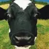 evancalderongoss - @evan.calderon.gos - TikTok