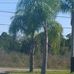 Evan Caracciolo - Facebook