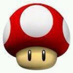 Evan Carmichael - @mushroomcap231 - Instagram
