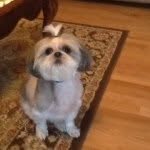 Evan Carnes - @evan_is_awesome_2000 - Instagram