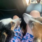 Evan Carr - @yuhevancarr - Instagram