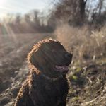 Evan Casper - @finn.and.feather.decoys - Instagram