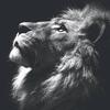 Evan Castillo - @evan.castillo429 - TikTok