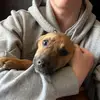 evan - @evan.cater48 - TikTok