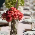 Evan Williams Catering - @evanwilliamscatering - Instagram