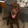 evan chacon - @evan.c112 - TikTok