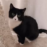 Evan Chamberlin - @evan0chamberlin - Instagram