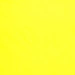 Evan Chao - @evannchao - Instagram