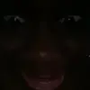 Evan Chong - @evan.chong2 - TikTok