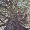 Evan Claassen600 - @evanclaassen600 - TikTok
