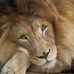 Yvon Claessen - Facebook