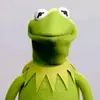 evan.clifton - @kermit_is_a_good_chef - TikTok